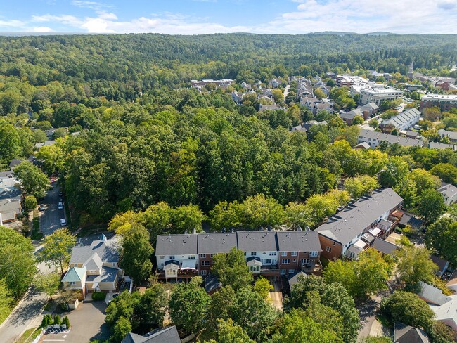 Building Photo - Beautiful Southern Village townhome - Furn...