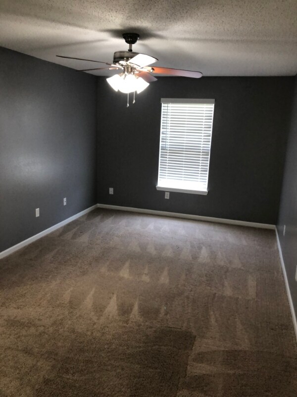Building Photo - 137 Broadmoor Bend
