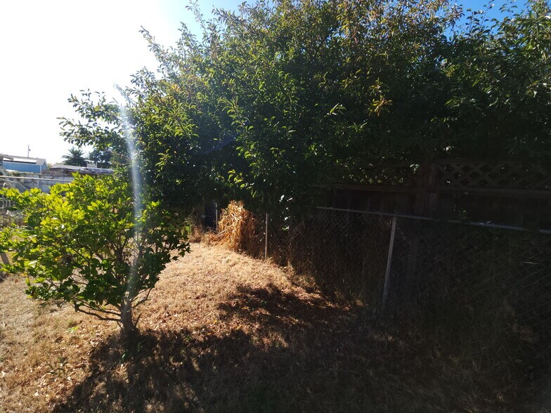 Backyard - 3201 64th Ave