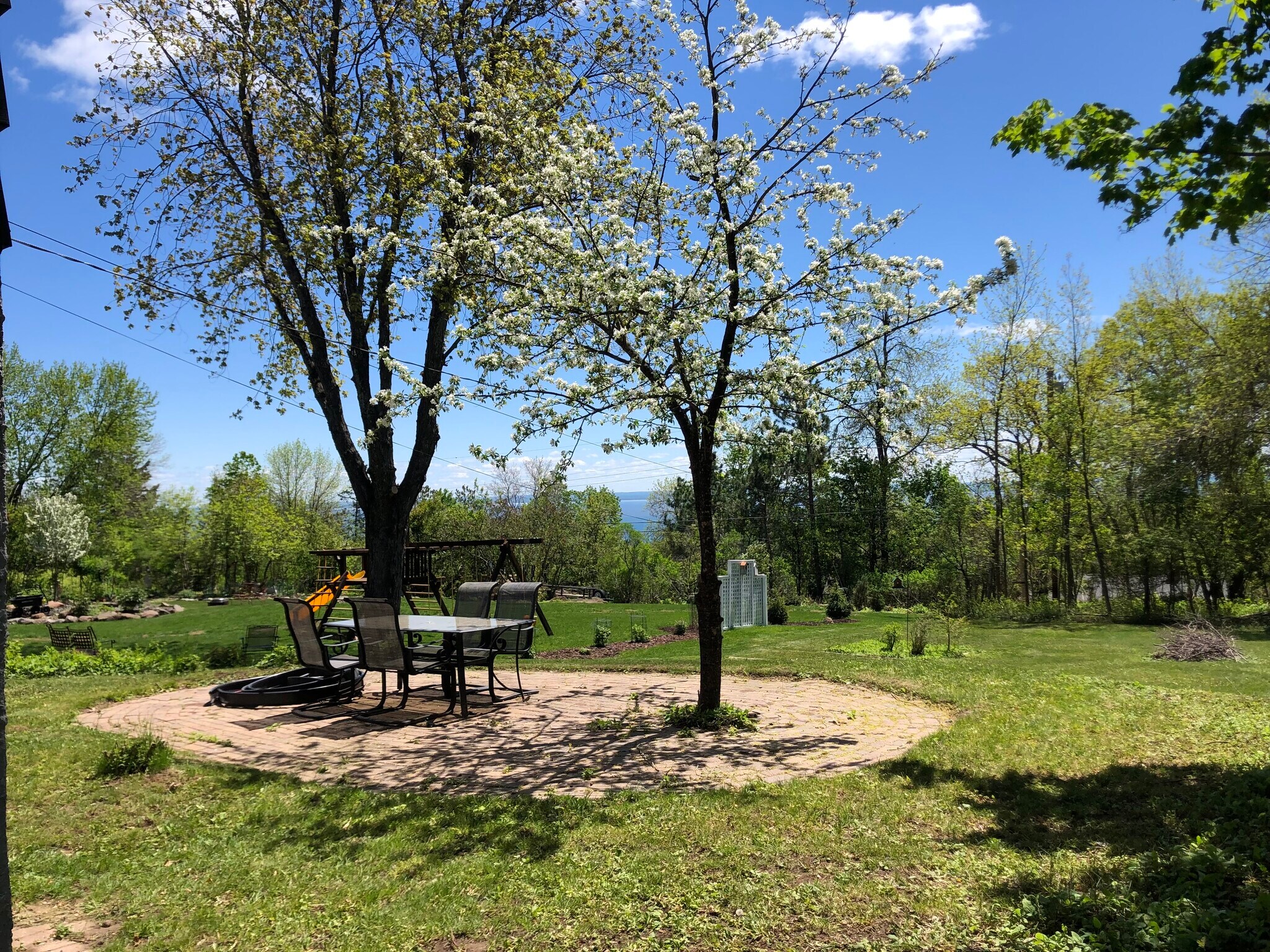 Backyard - 318 Kenilworth Ave