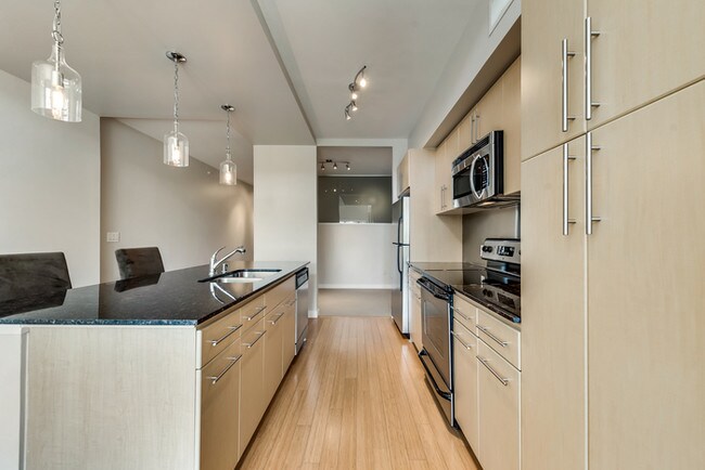 Building Photo - Stunning 2/2 Condo in Oak Lawn!