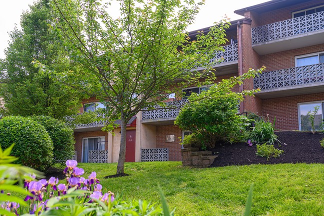 Building Photo - Ash Park Apartments