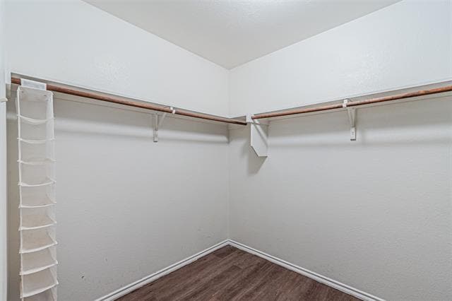 Building Photo - 1202 Pampa Grass Dr