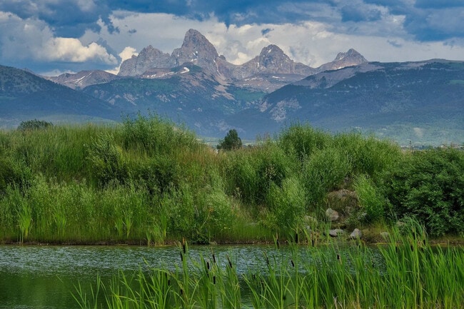 Building Photo - 4742 Heads Up Rd