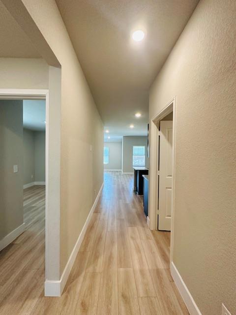 Building Photo - 15113 Siberian Elm Ln