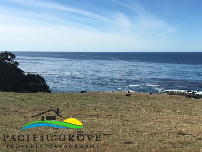 Building Photo - Cabin on Palo Colorado