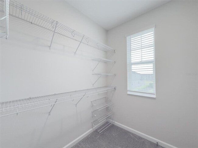 Building Photo - 551 Pothos St