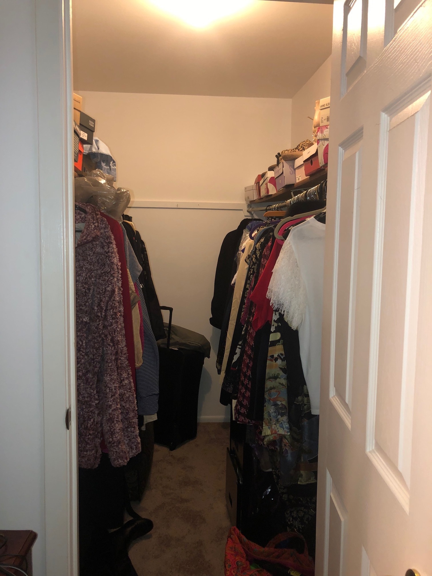 walk in closet - 214 Scarsdale Ct