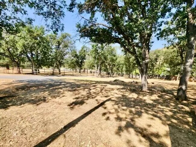 Building Photo - Horse property on 2.8 acres in Ruch with 2...