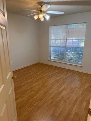 Building Photo - 8112 Burleigh St