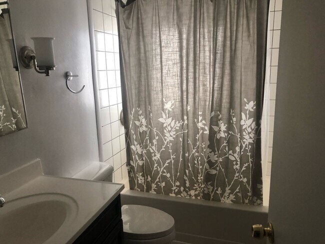 Building Photo - Denver Three Bedroom House Two Blocks From City Park