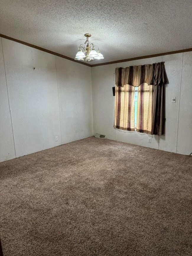 Building Photo - 3 Bedroom - Bloomfield