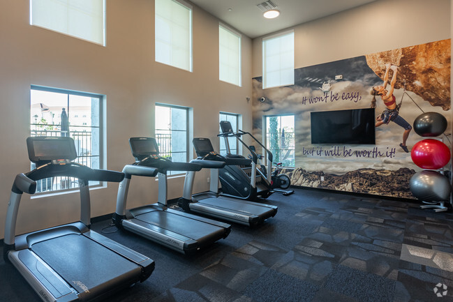 Fitness Center - Arista