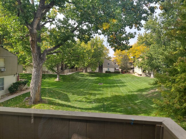 Great view over courtyard - 7373 W Florida Ave