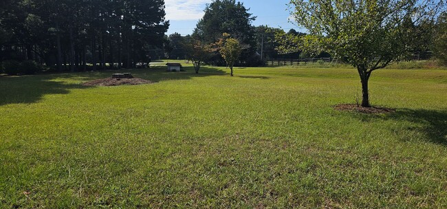 Building Photo - Cutie in the Country