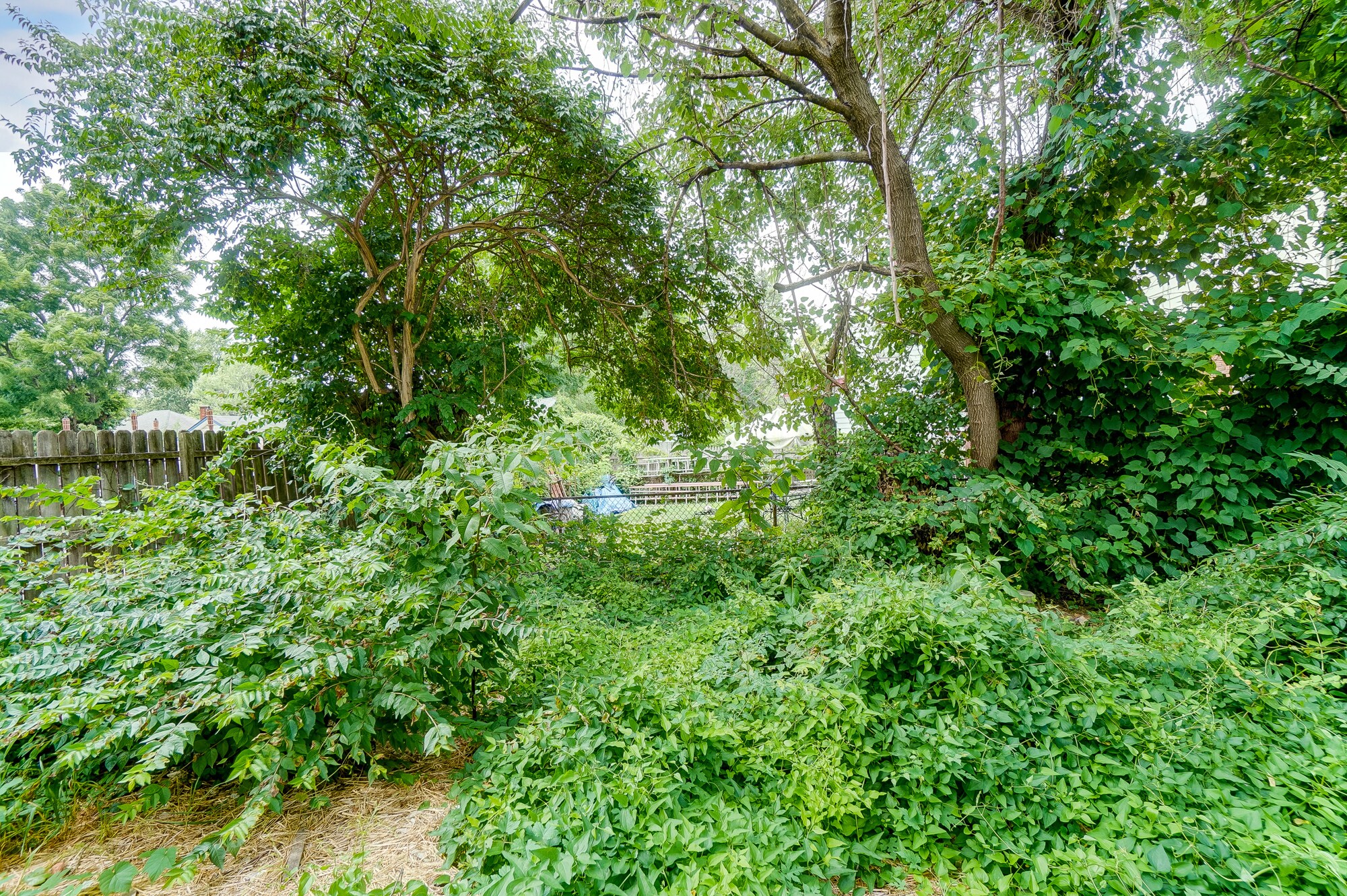 Building Photo - 1768 Williams Ave