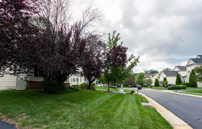 Building Photo - Spacious, Light-Filled Home in the Desirable Broadlands