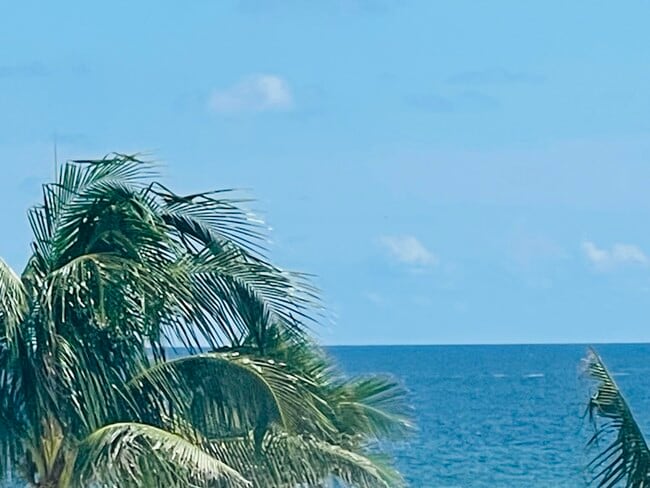 Building Photo - 1237 Hillsboro Mile