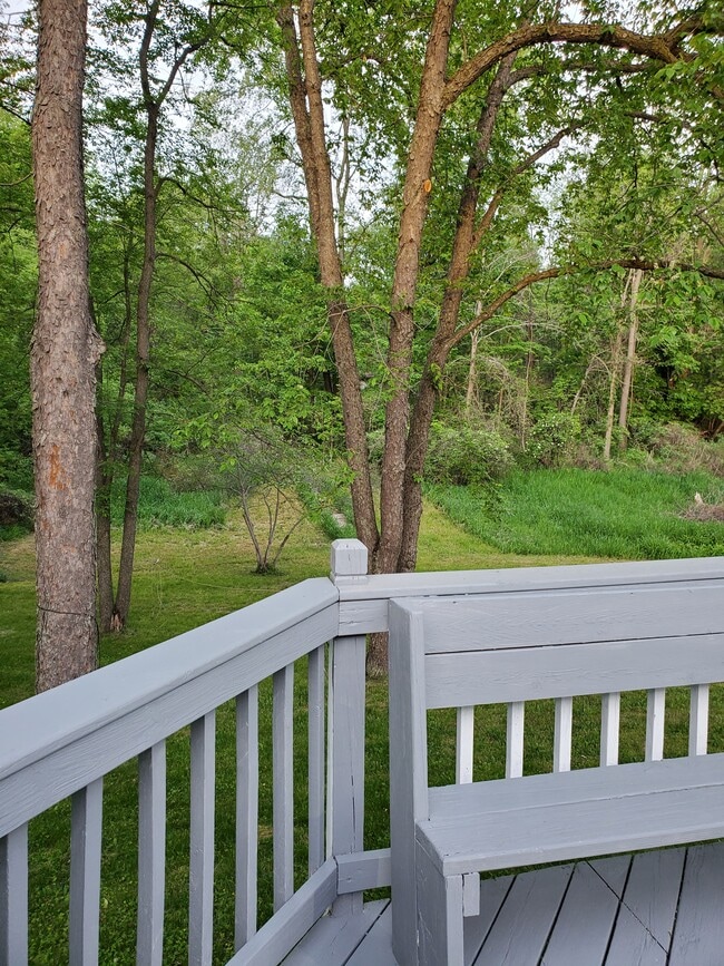 Building Photo - 3366 Hogback Rd