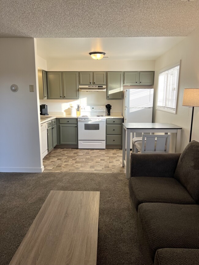 Kitchen-Living Room - 219 14th Ave S