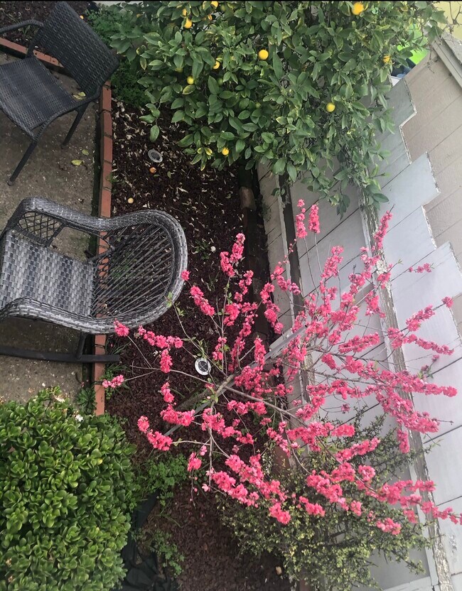 Building Photo - 50 Dunsmuir St