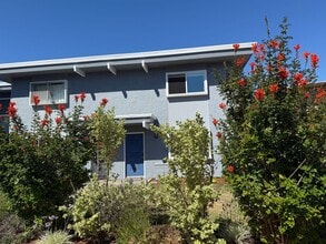 Building Photo - Welcome to Villa Bonita – Your Coastal Ret...