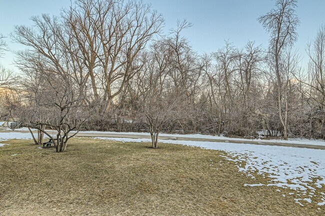 Building Photo - Urban Oasis: Cozy Furnished 1 BDR in Boulder