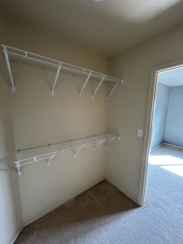 Building Photo - 9805 Mia Ln