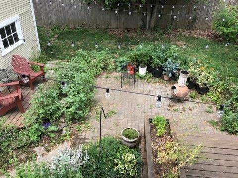 Backyard patio - 4125 SE Gladstone st