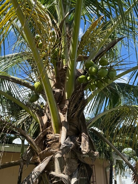 Courtyard - 660 NE 132nd St