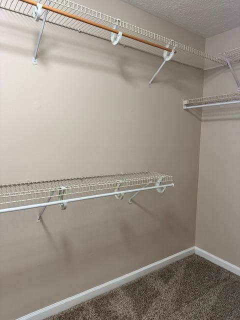 Building Photo - 1909 Sardonyx Rd