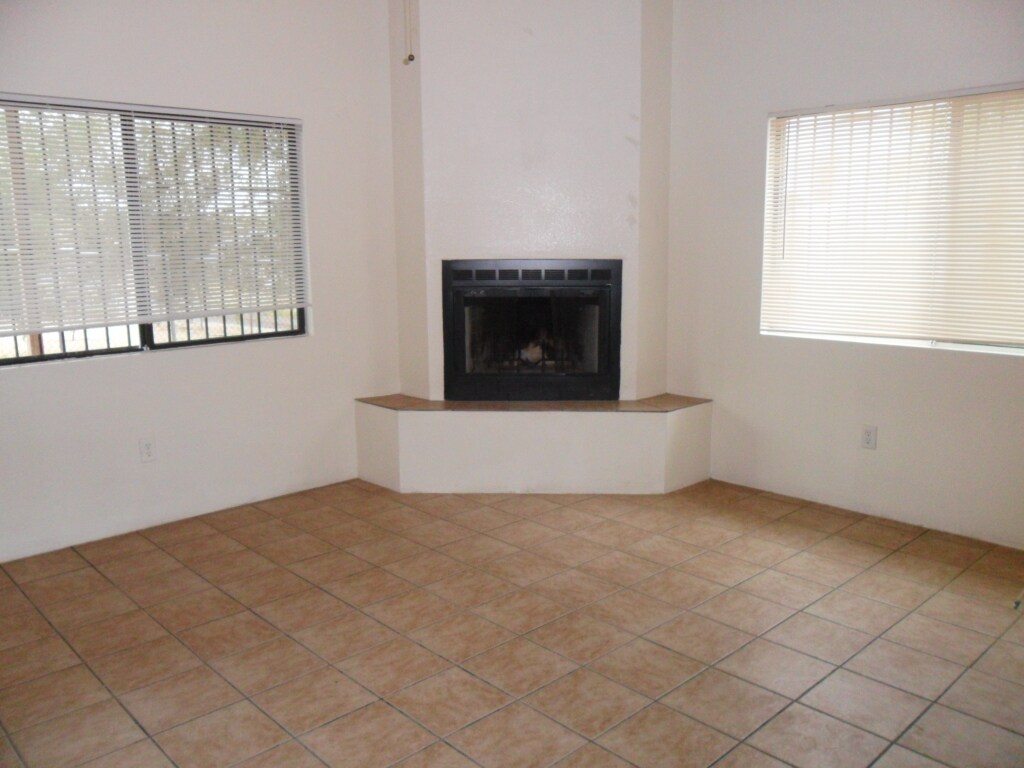 Fireplace - 516 E Waverly St