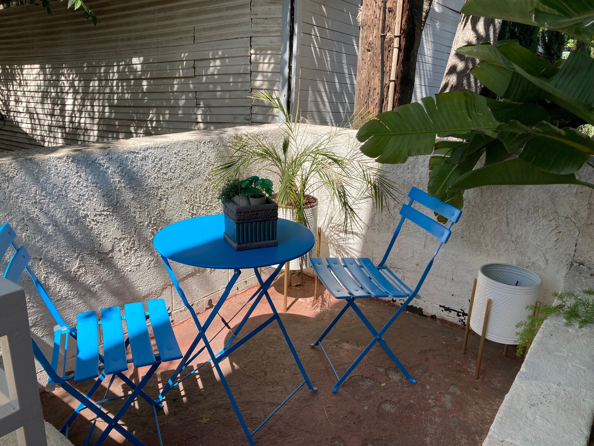 Patio - 431 W Lexington Dr