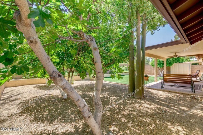 Building Photo - PINNACLE HILL RENTAL WITH MTN VIEWS, FIREP...