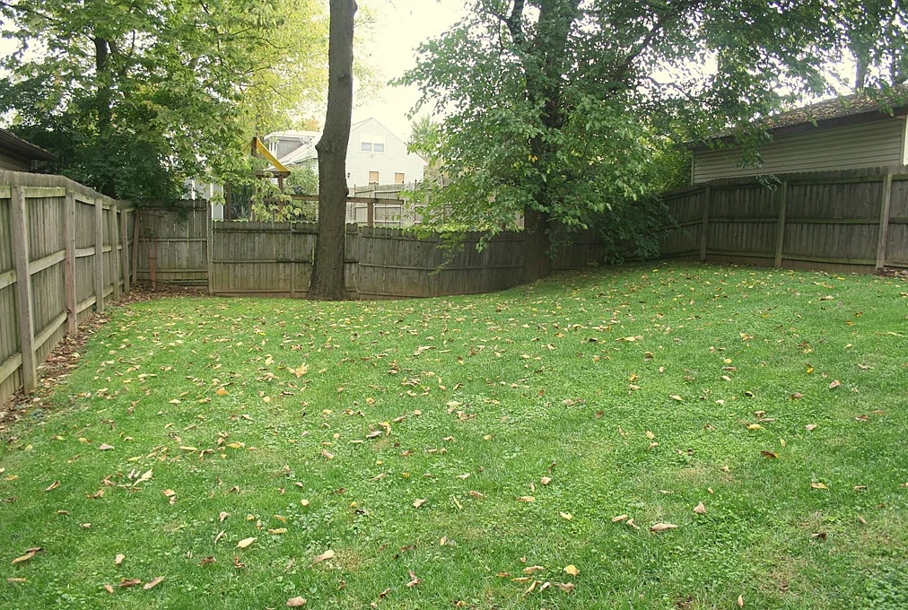 Shared backyard - 4129 Ballard Ave