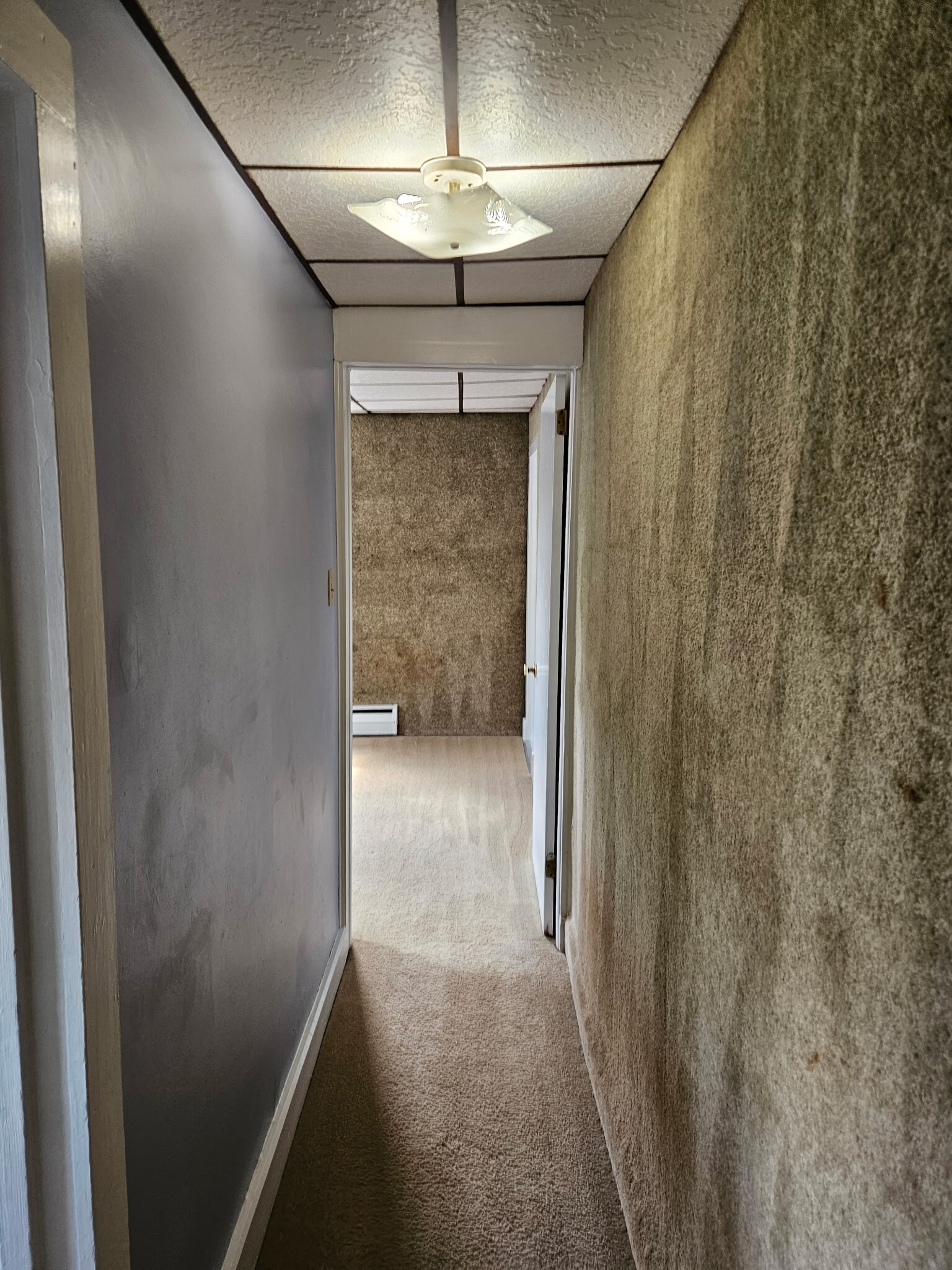 Hallway to back bedroom - 246 Monocacy Dr