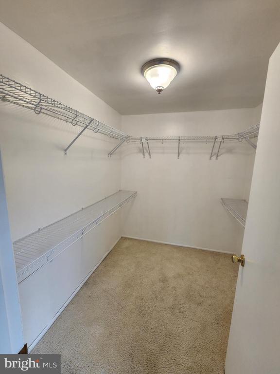 Building Photo - 13171 Morning Spring Ln