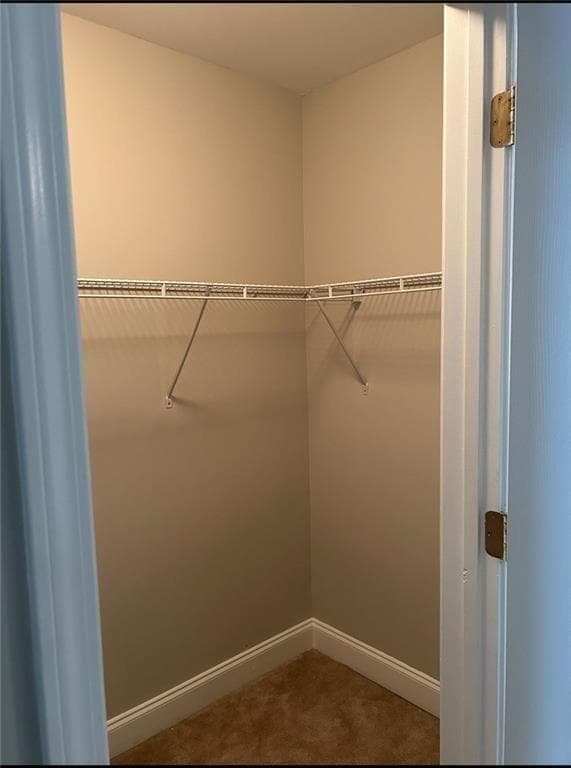 Building Photo - 5560 Stonewood Ct