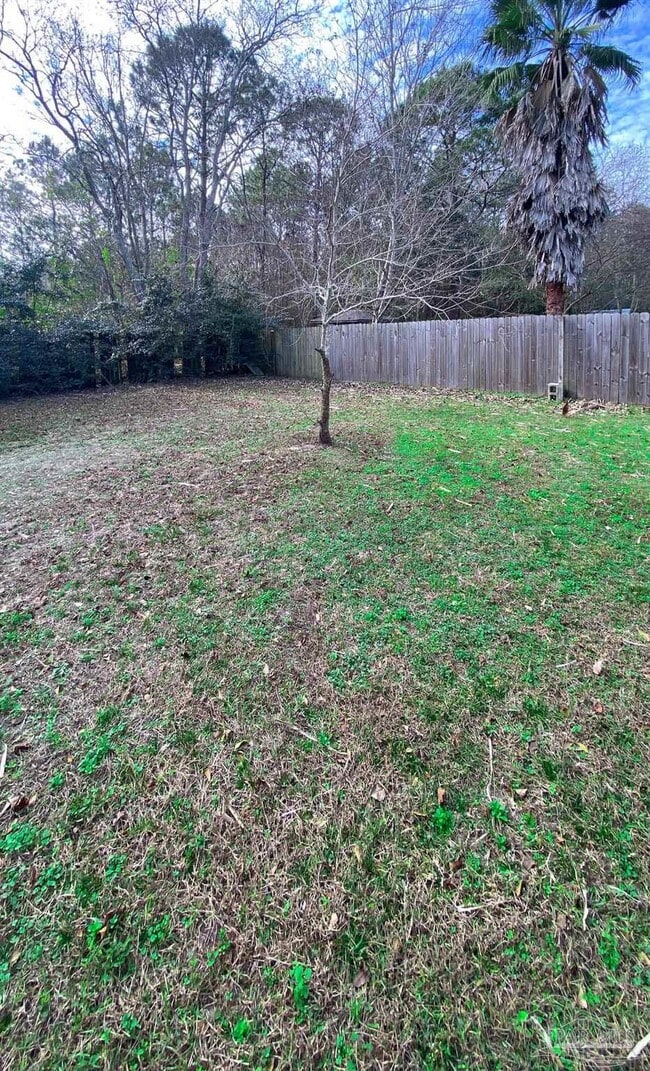 Building Photo - 12611 Meadson Rd