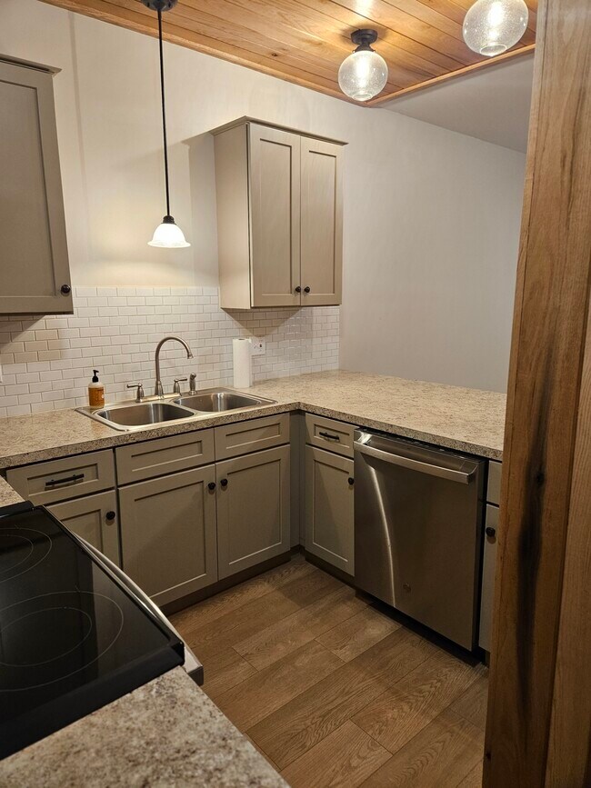 kitchen with dishwasher - 223 E 10th St