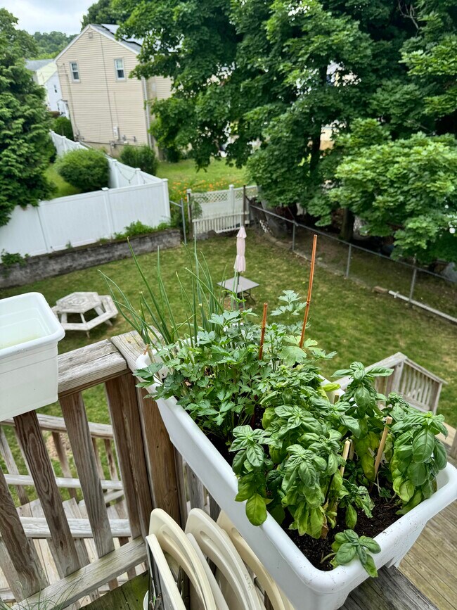 Building Photo - 95 Cherry St