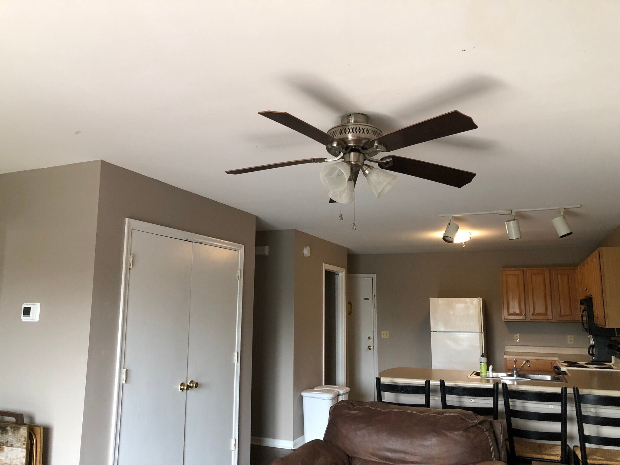 Living room ceiling fan - 1366 Hunters Rd