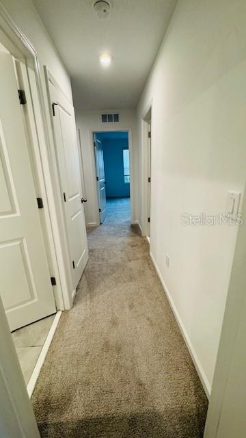 Building Photo - 1128 Lakeshore Breeze Pl
