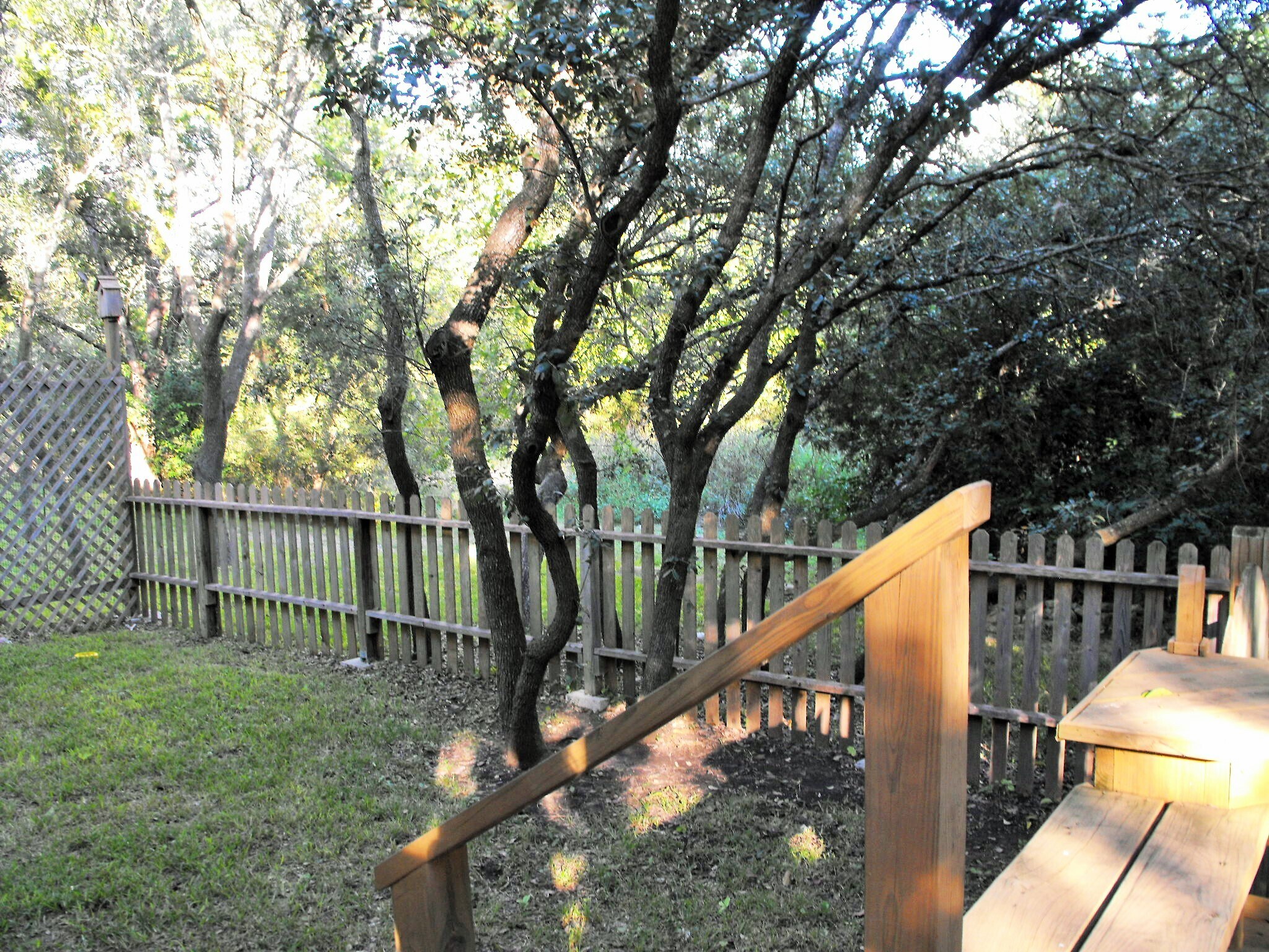 NO fence taken down to open acreage for viewing - 9810 Lake Ridge Dr