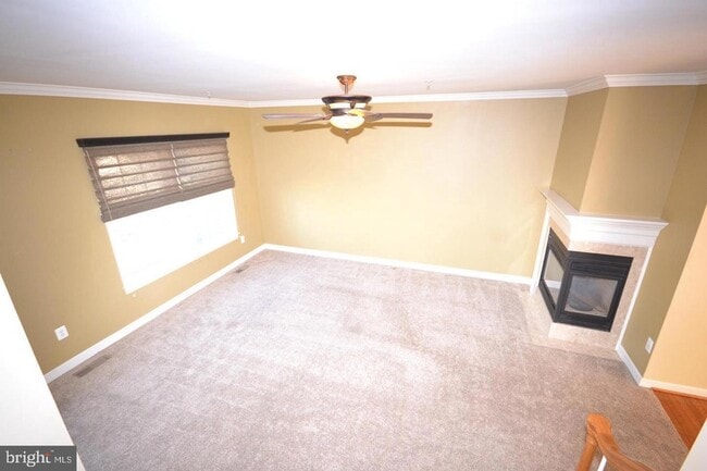 Building Photo - 8921 Amelung St