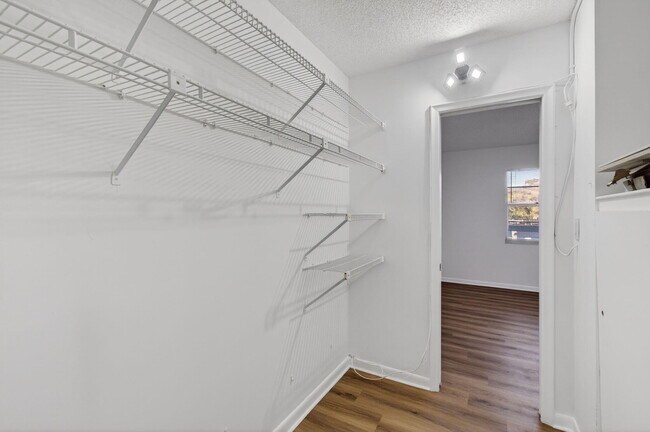 Building Photo - 3502 Bimini Ln