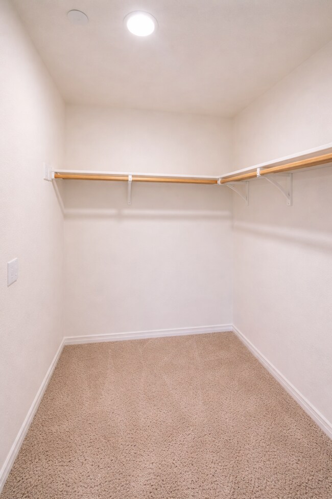 Building Photo - 24610 Comanche Creek Dr