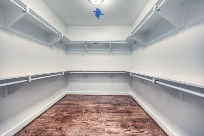 Building Photo - 3619 Alba Rd