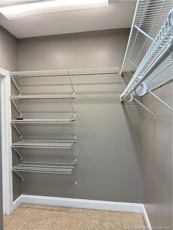 Building Photo - 208 Fountainhead Ln