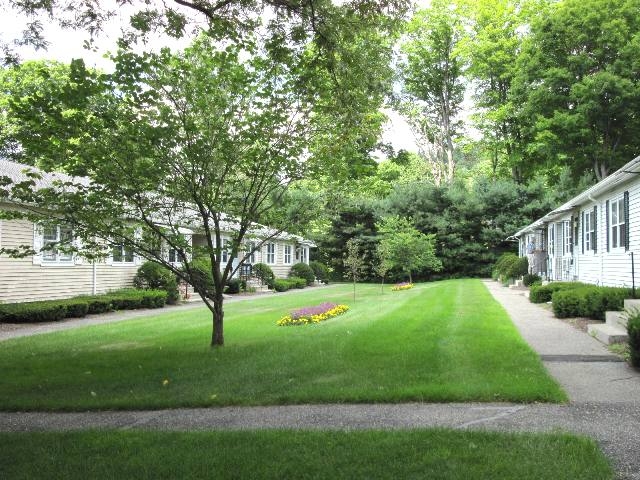 Primary Photo - Beech Tree Apartments